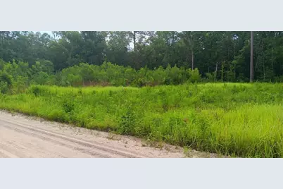 13230 SW 18th Street Road, Ocala, FL 34481 - Photo 6