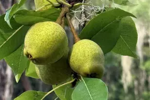 1360 S State Rd 19, Palatka, FL 32177 - Photo 14