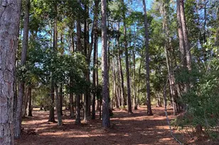 1360 S State Rd 19, Palatka, FL 32177 - Photo 16