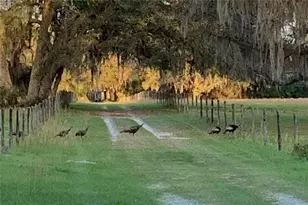 1360 S State Rd 19, Palatka, FL 32177 - Photo 1