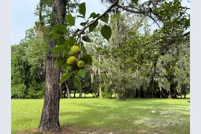 1360 S State Road 19, Palatka, FL 32177 - Photo 12