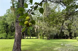 1360 S State Rd 19, Palatka, FL 32177 - Photo 12