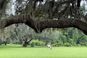 1360 S State Rd 19, Palatka, FL 32177 - Photo 22