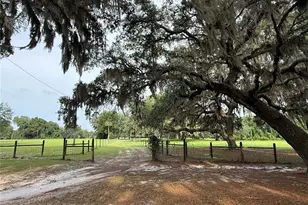 1360 S State Rd 19, Palatka, FL 32177 - Photo 24