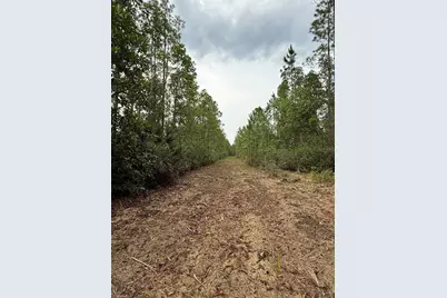 1360 S State Road 19, Palatka, FL 32177 - Photo 56