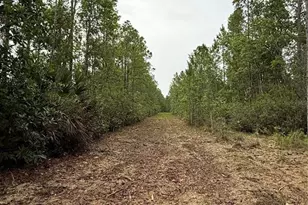 1360 S State Rd 19, Palatka, FL 32177 - Photo 56