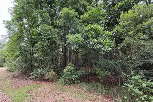 1360 S State Rd 19, Palatka, FL 32177 - Photo 54