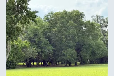 1360 S State Road 19, Palatka, FL 32177 - Photo 70