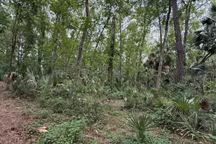 1360 S State Rd 19, Palatka, FL 32177 - Photo 46