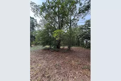 1360 S State Road 19, Palatka, FL 32177 - Photo 58