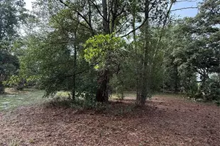 1360 S State Rd 19, Palatka, FL 32177 - Photo 58