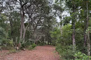 1360 S State Rd 19, Palatka, FL 32177 - Photo 48