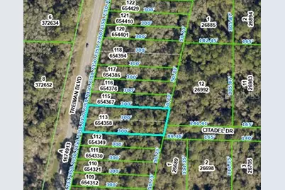 8380 Treiman Boulevard, Webster, FL 33597 - Photo 2