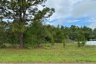 Lot 6 SW 48 Ct Rd, Ocala, FL 34473 - Photo 1