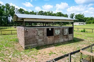 3040 NE 97th Street Rd, Anthony, FL 32617 - Photo 46