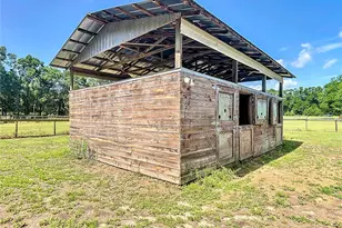 3040 NE 97th Street Rd, Anthony, FL 32617 - Photo 6