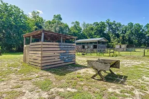 3040 NE 97th Street Rd, Anthony, FL 32617 - Photo 58