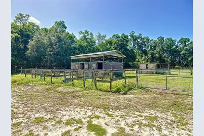 3040 NE 97th Street Road, Anthony, FL 32617 - Photo 48