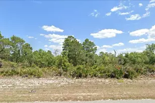 415 Hallmark Ave, Lake Placid, FL 33852 - Photo 2