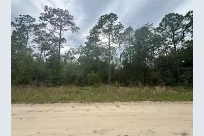 Tbd SW 159 Court, Ocala, FL 34481 - Photo 2