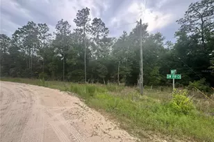 Tbd SW 159 Ct, Ocala, FL 34481 - Photo 1