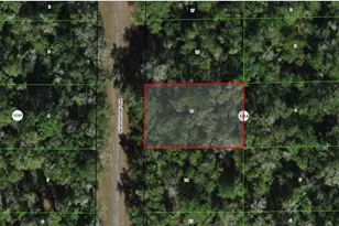 9381 N Sagamore Terrace, Dunnellon, FL 34434 - Photo 1