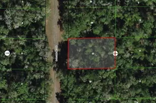 9395 N Sagamore Terrace, Dunnellon, FL 34434 - Photo 1