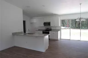 17009 SE 60th St, Ocklawaha, FL 32179 - Photo 54