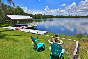 10893 SE 141st Avenue Rd, Ocklawaha, FL 32179 - Photo 30