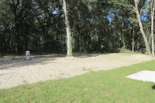 16615 SE 63rd Ln, Ocklawaha, FL 32179 - Photo 4