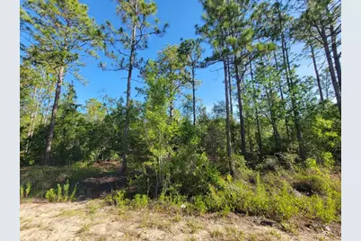 Sw Edgewater, Dunnellon, FL 34431 - Photo 4