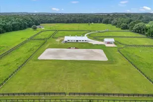 2945 NW 131st St, Reddick, FL 32686 - Photo 42