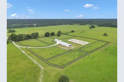 2945 NW 131st Street, Reddick, FL 32686 - Photo 40