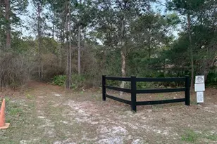 1782 W Mesa Verde Dr, Beverly Hills, FL 34465 - Photo 8