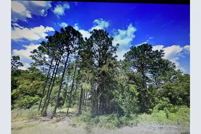 0 SW 135th Loop, Ocala, FL 34473 - Photo 1