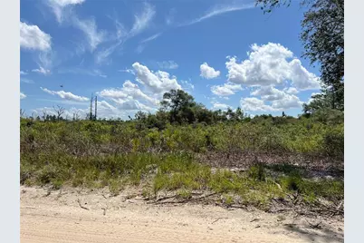 0 SW 157 Lane, Dunnellon, FL 34432 - Photo 2