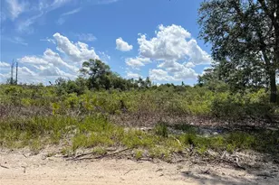 0 SW 157 Ln, Dunnellon, FL 34432 - Photo 1