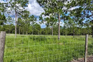 4501 Detour Rd, Haines City, FL 33844 - Photo 56