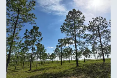 4501 Detour Road, Haines City, FL 33844 - Photo 4