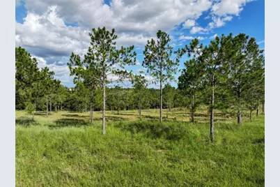 4501 Detour Road, Haines City, FL 33844 - Photo 58