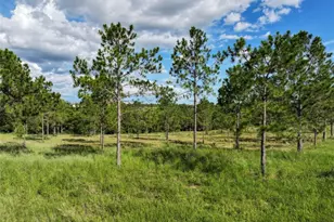 4501 Detour Rd, Haines City, FL 33844 - Photo 58