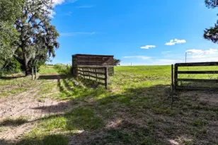 4501 Detour Rd, Haines City, FL 33844 - Photo 44