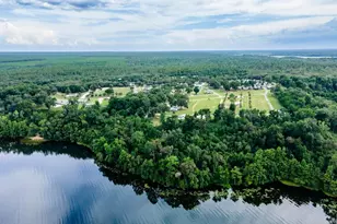 15991 NE 243rd Place Rd, Fort Mc Coy, FL 32134 - Photo 24