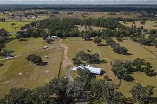 6140 NW 145th Avenue Rd, Morriston, FL 32668 - Photo 54