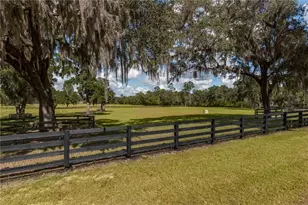 6140 NW 145th Avenue Rd, Morriston, FL 32668 - Photo 34