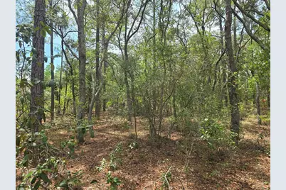6468 N Baylor Terrace, Dunnellon, FL 34433 - Photo 8