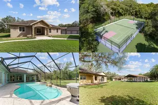 10835 SE Hwy 464C, Ocklawaha, FL 32179 - Photo 1