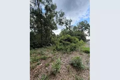 4117 Silver Lake Drive, Palatka, FL 32177 - Photo 4