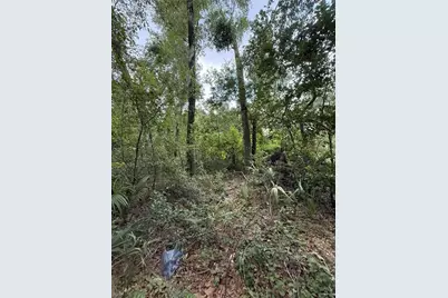 4117 Silver Lake Drive, Palatka, FL 32177 - Photo 2