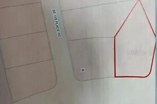 340 Fisher Rd, Ocklawaha, FL 32179 - Photo 1